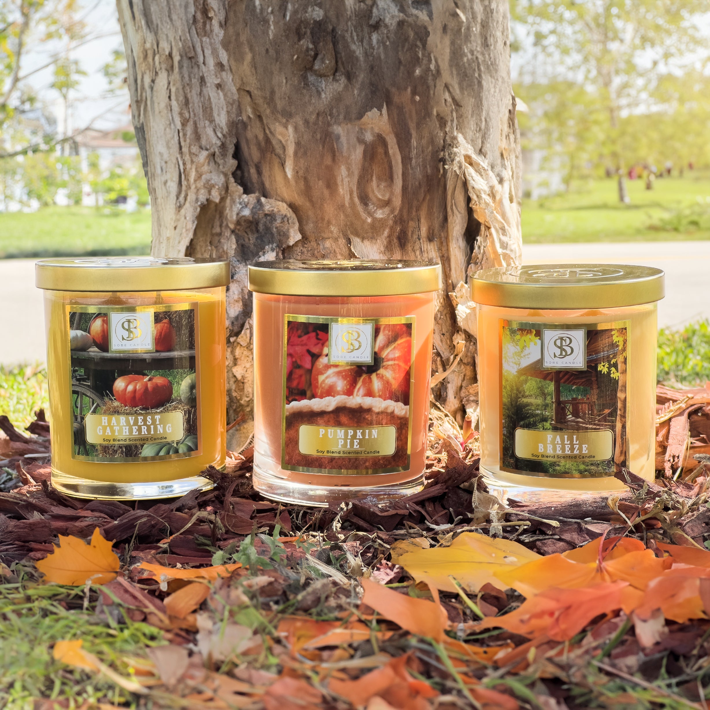 Pumpkin Spice Perfection: The Allure of Pumpkin-Scented Candles