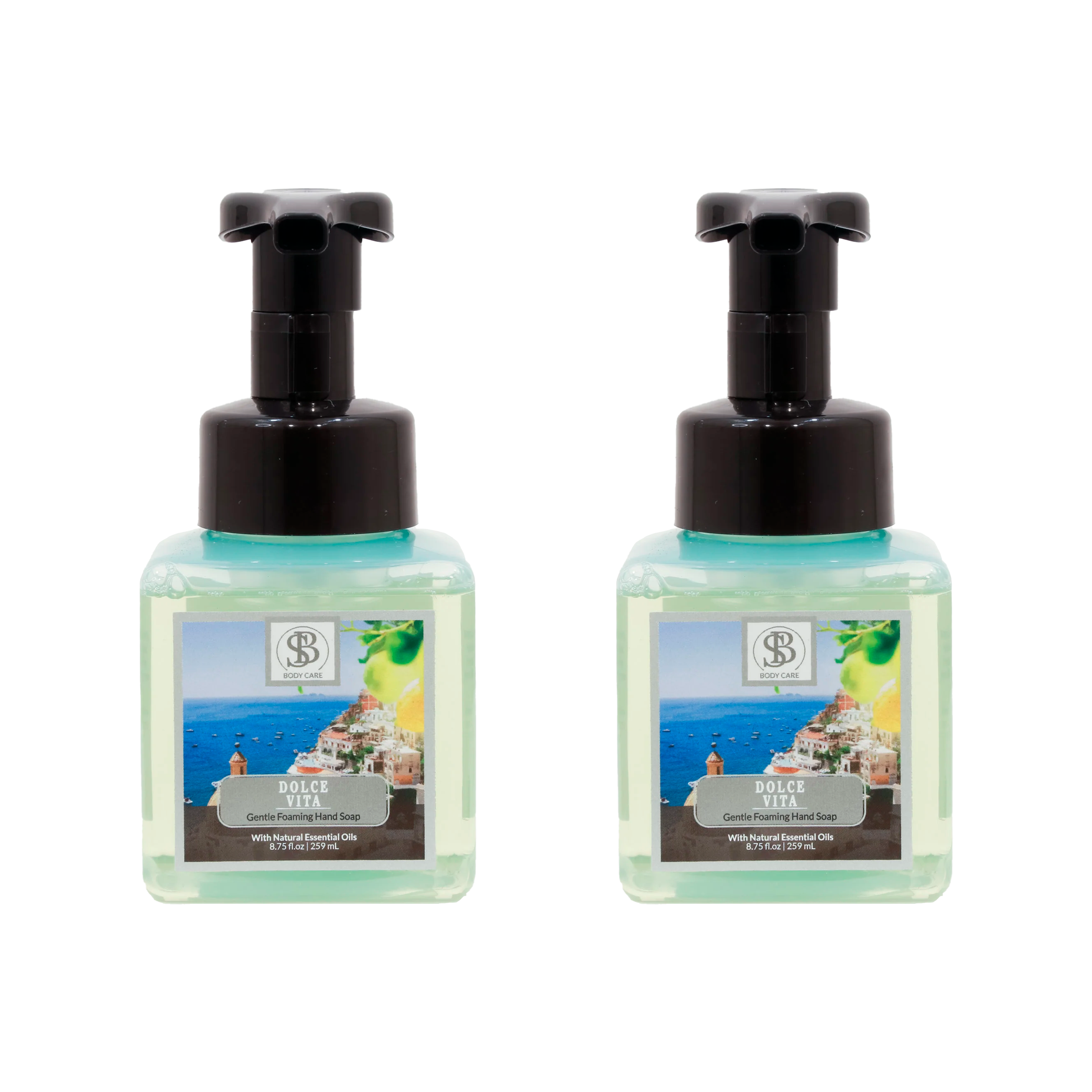 DOLCE VITA Gentle Foaming Hand Soap - The SOBE World Co.