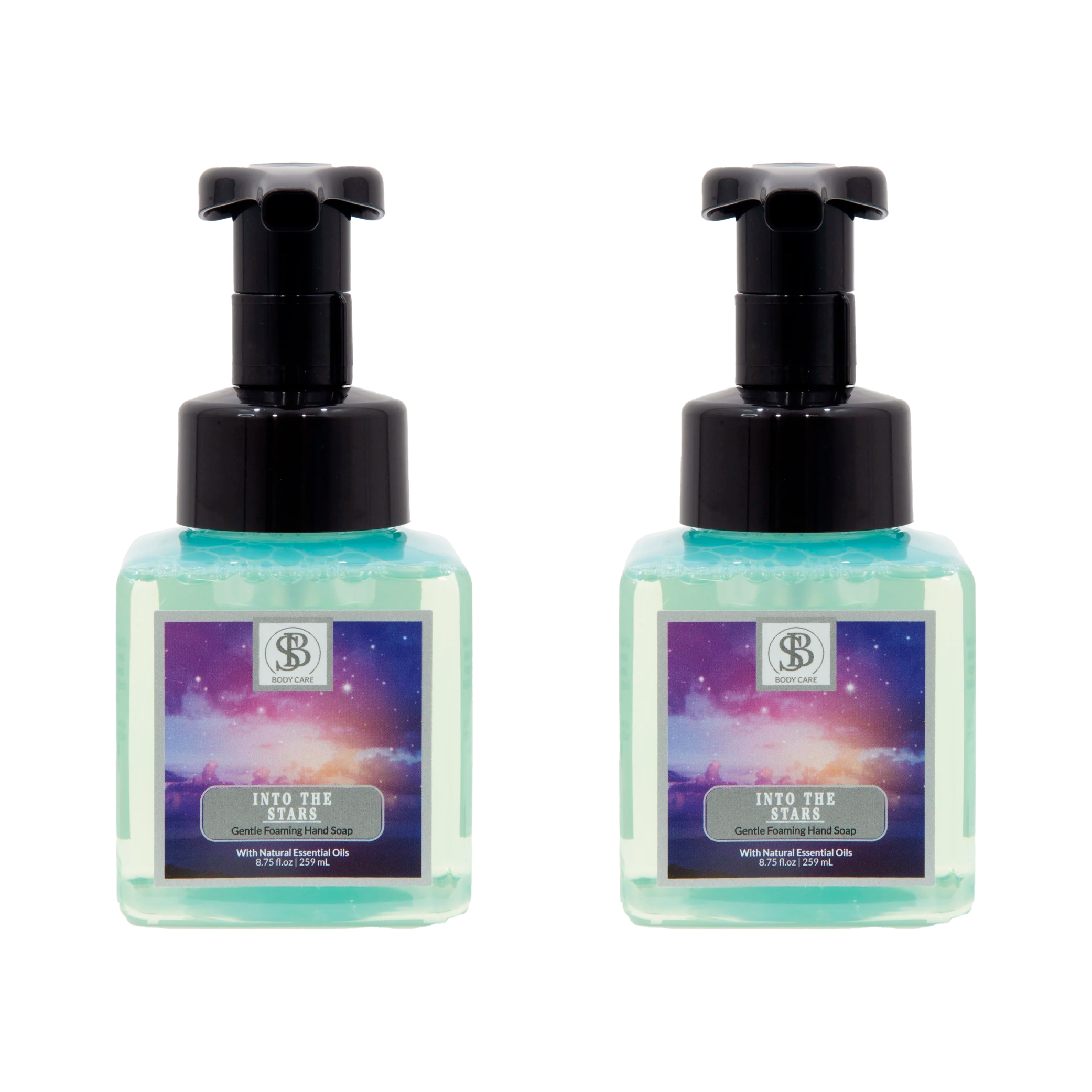 Into The Stars Gentle Foaming Hand Soap - The SOBE World Co.