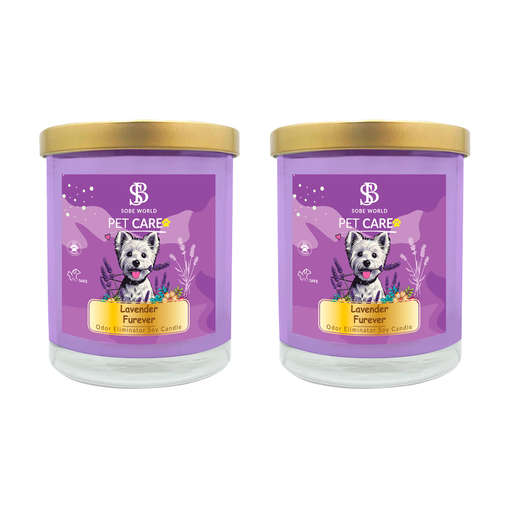 LAVENDER FUREVER   | Odor Eliminator Soy Candle - The SOBE World Co.