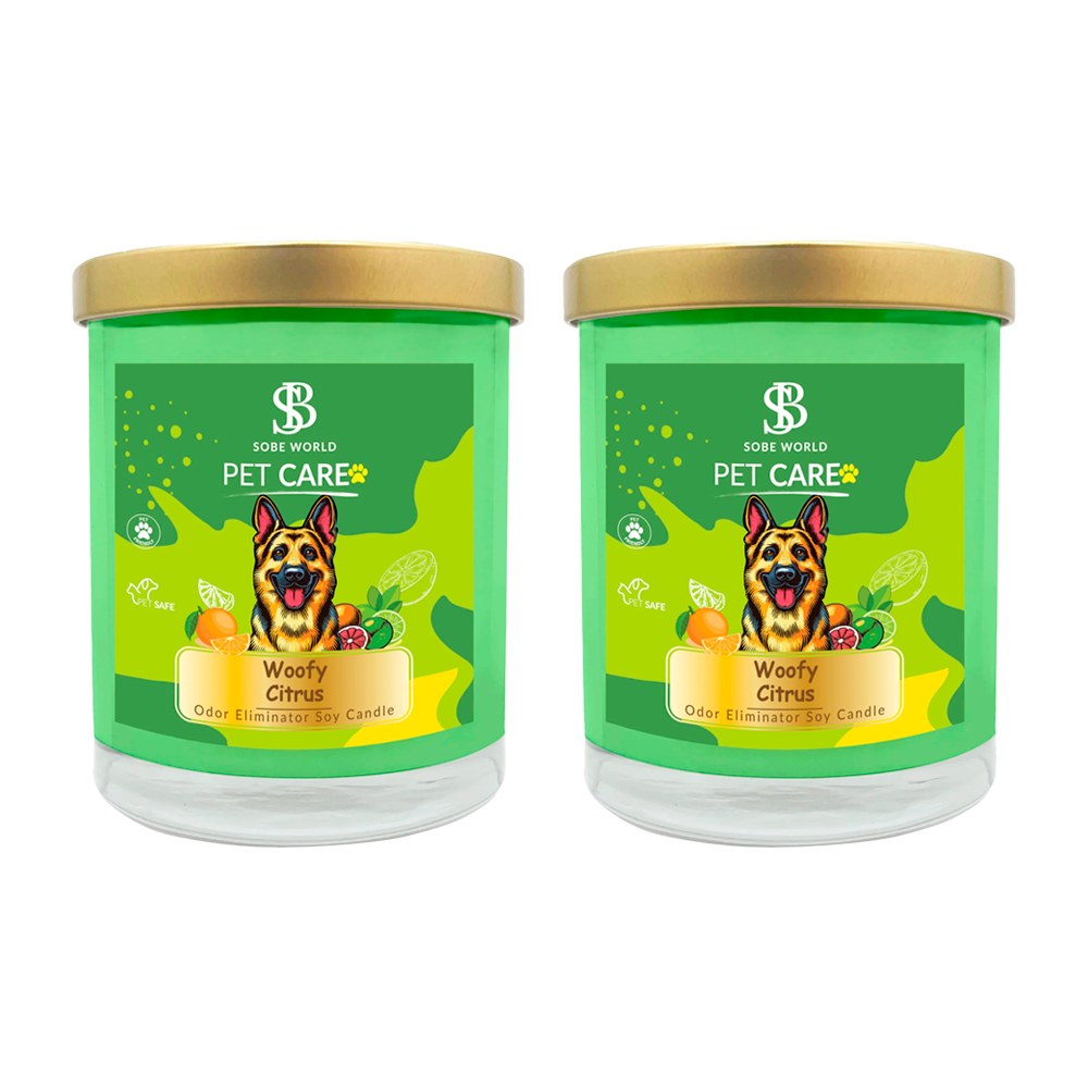 WOODY CITRUS | Odor Eliminator Soy Candle - The SOBE World Co.