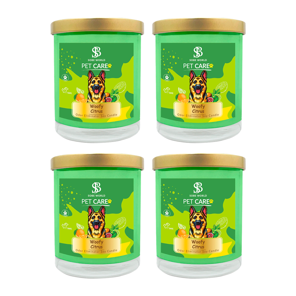 WOODY CITRUS | Odor Eliminator Soy Candle - The SOBE World Co.